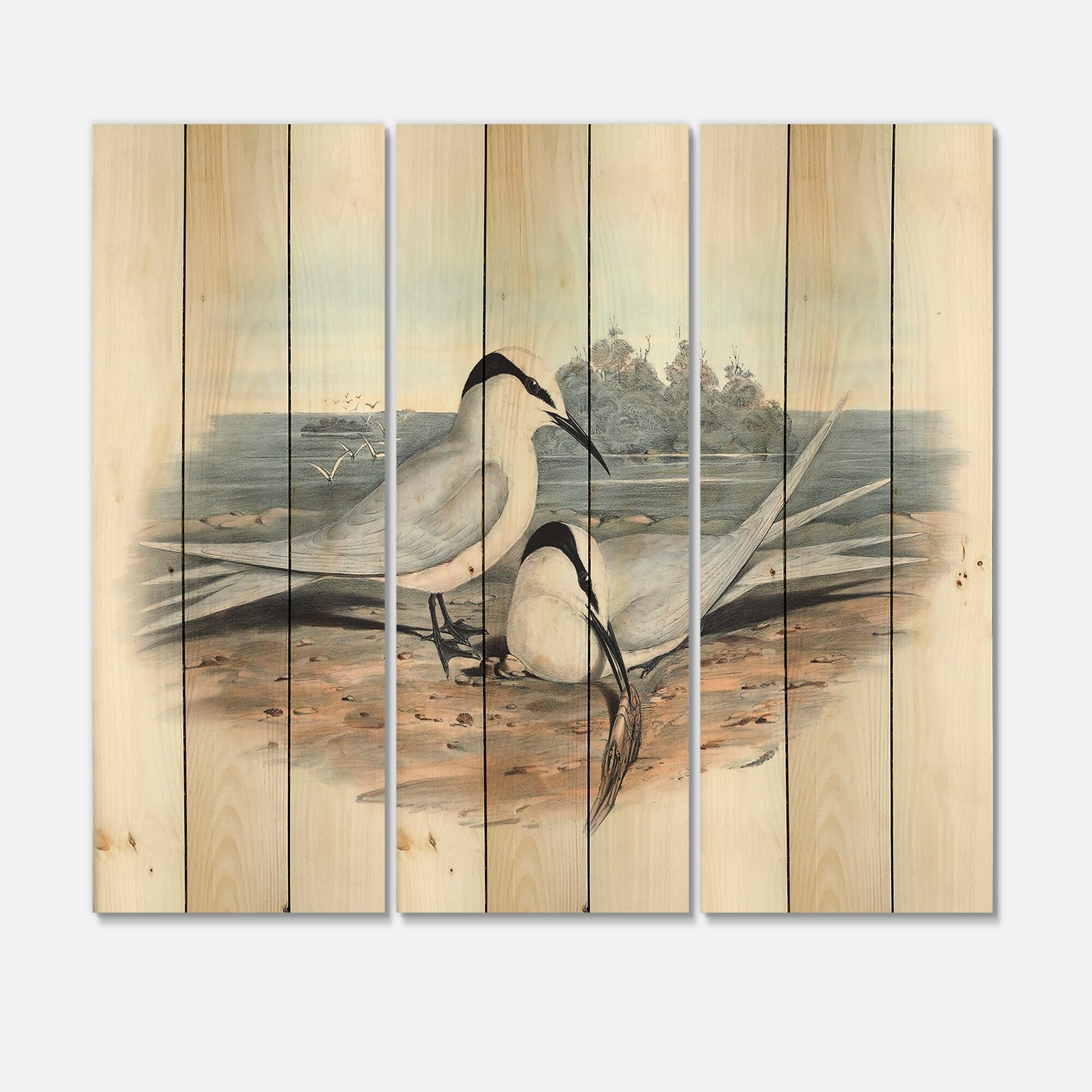Designart 'Vintage Birds In The Wild IX' Traditional Print-image
