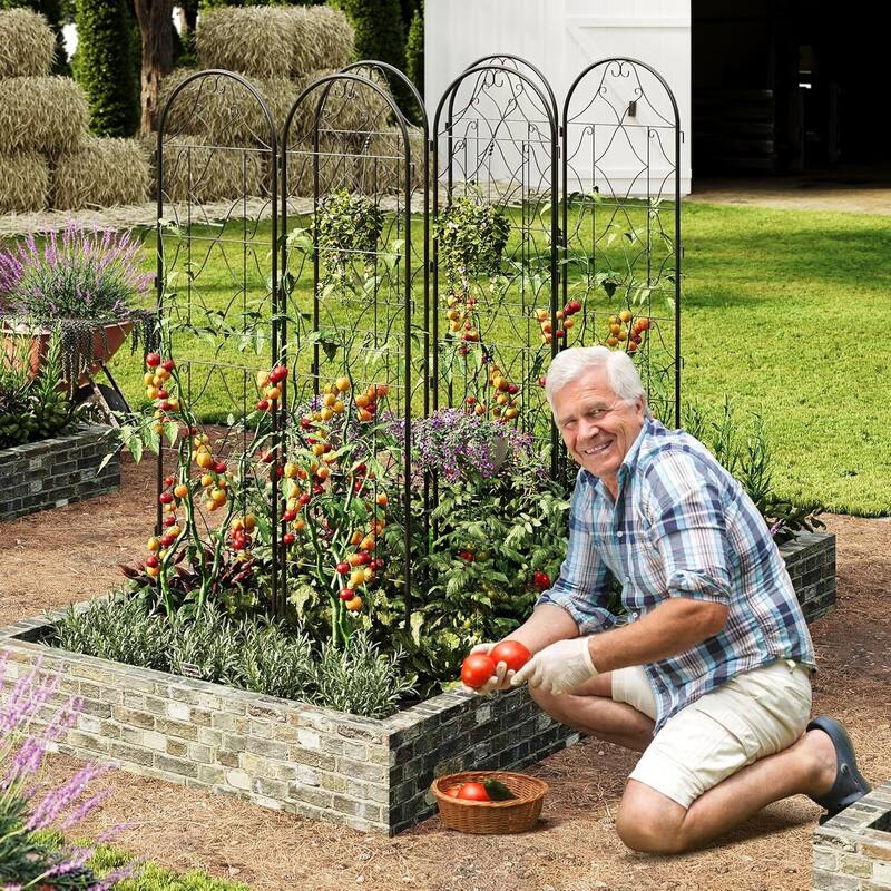 2 Pcs Outdoor Metal Garden Trellis, Garden Fence for Cllimbing Plants, Vegetables