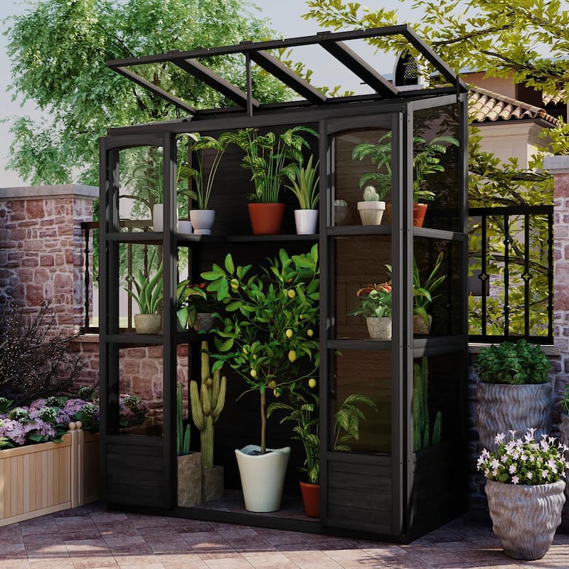 Walk-in Outdoor Greenhouse with 4 Skylights and Folding Shelves - Wood - Permanent