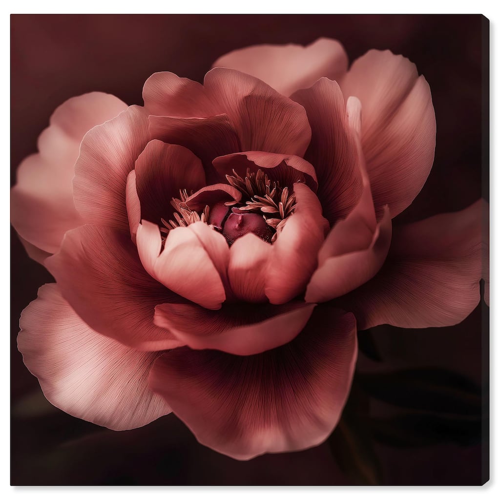 Velvety Richness I Canvas by Art Remedy, Gallery Wrapped