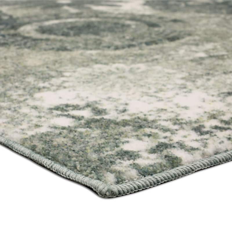 Porch & Den Bexley Floral Medallion Area Rug