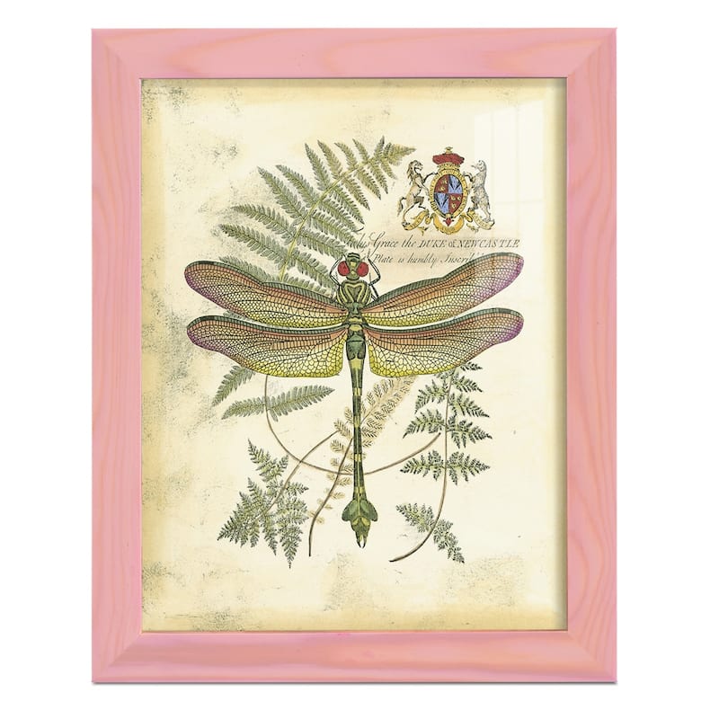 Regal Dragonfly III (PP) -Framed Print w/glass-Cherry Red