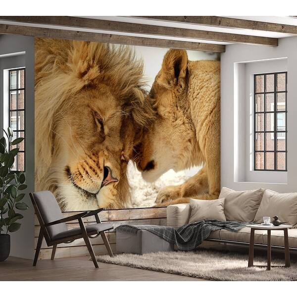 lion mural wallpaper