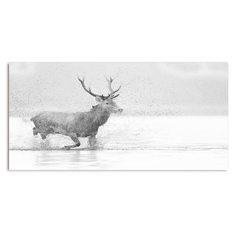 Designart "Deer Black And White Sketch II" Animals Canvas Art Print