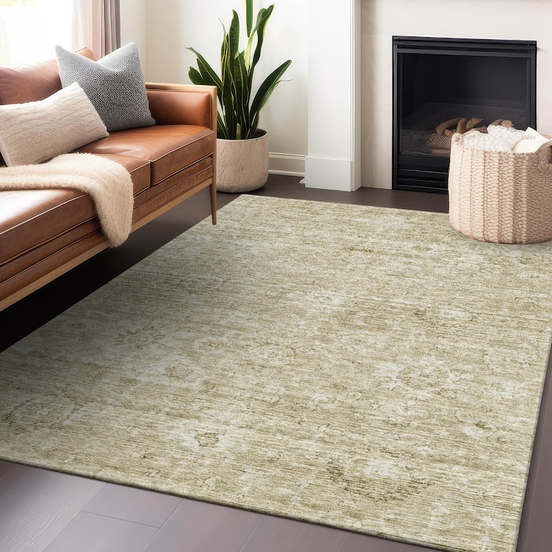 Machine Washable Indoor/ Outdoor Vintage Traditional Chantille Rug - Beige - 2'6" x 3'10"