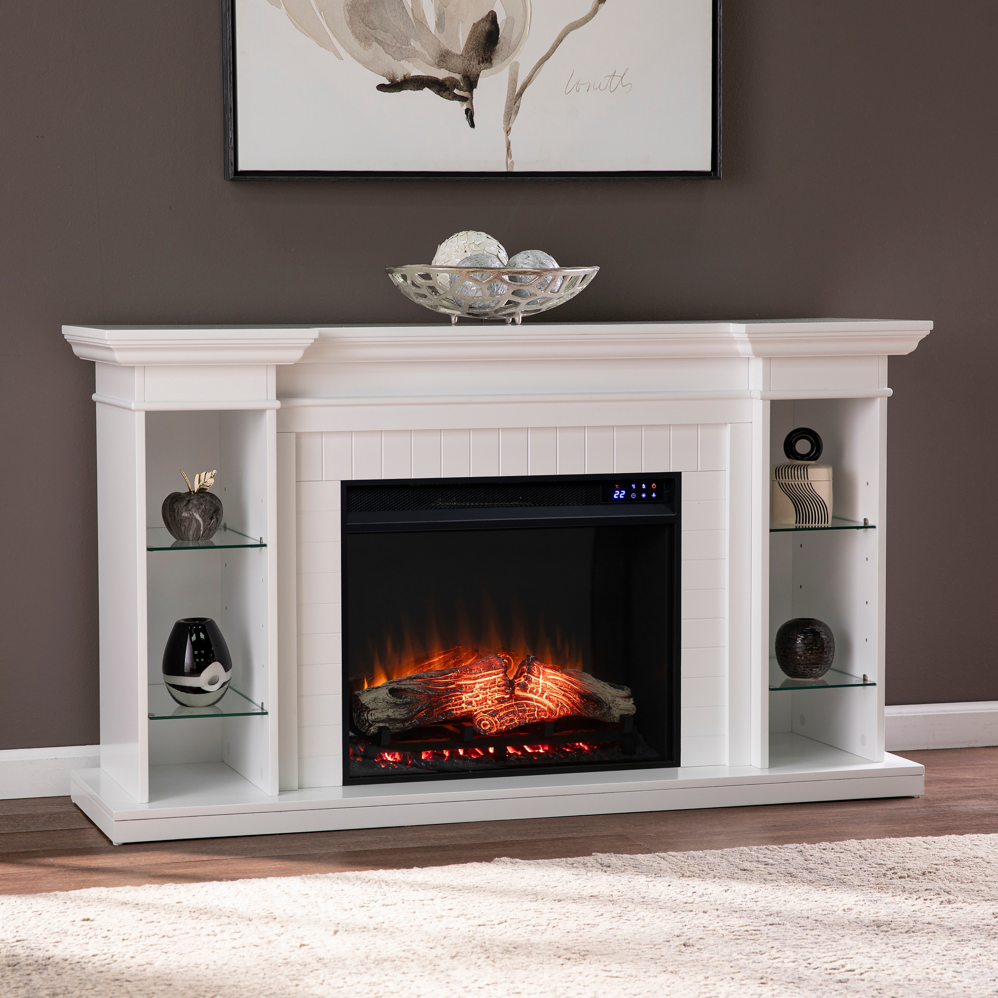 Electric fireplace shop and bookshelves