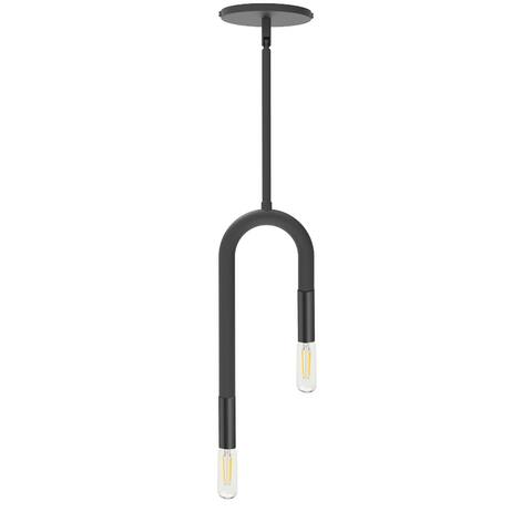 2 Light Incandescent Matte Black Pendant,