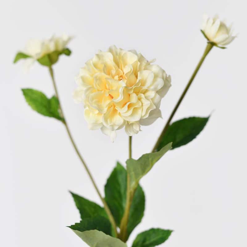 Silk Decorative Artificial Paeonia lactiflora(Pack of 1 Branch)