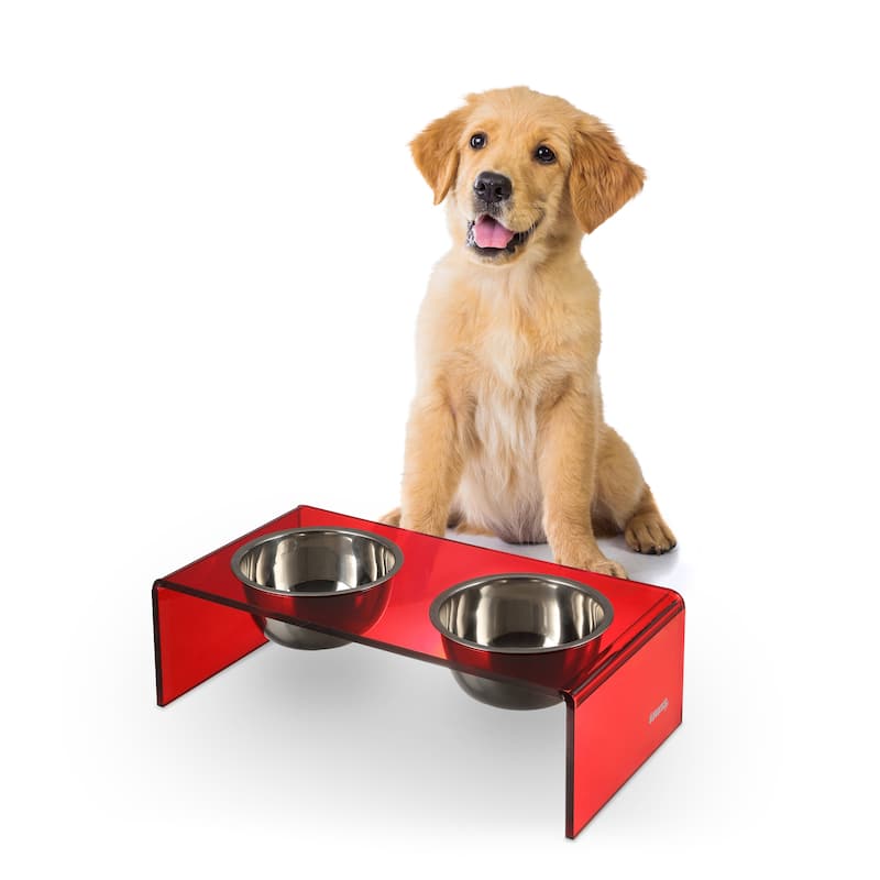 Keaton 5" Small/Medium Modern Lucite Rectangular Elevated Pet Feeder with 20oz 2-Stainless Steel Bowls - Red/Chrome