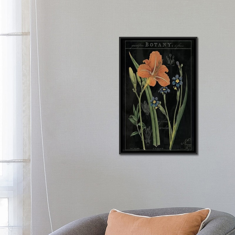 iCanvas "Vintage Flora II On Black" by Sue Schlabach Framed Canvas Print