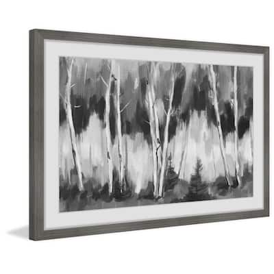 Shady Woods Framed Print
