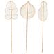 Option Brown - 19"W, 79"H