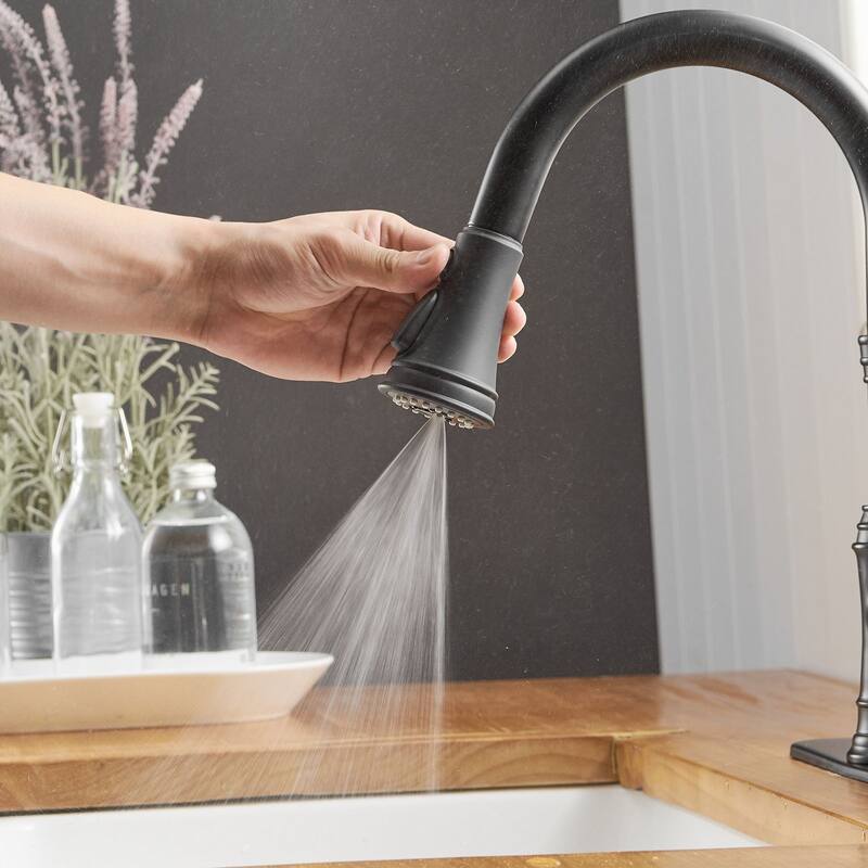 WIZ 3-Spray High Arc Pull Down Sprayer Kitchen Faucet With Deck Plate