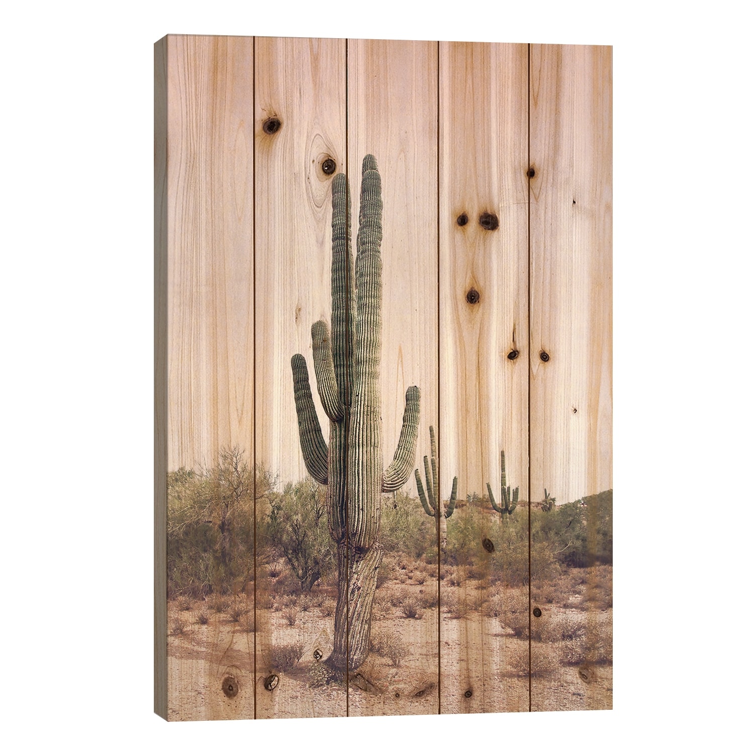 Desert Cactus Blush Print On Wood by Sisi & Seb - Multi-Color