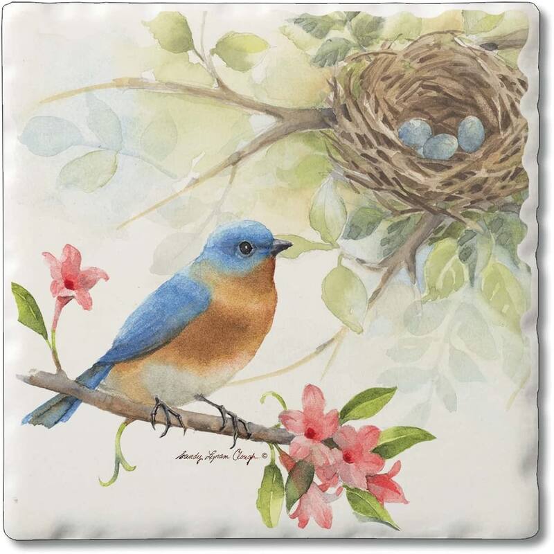 CounterArt Bluebird Absorbent Stone Tumbled Tile Coaster Set of 4 Made in The USA Protective Cork Backing - Multi