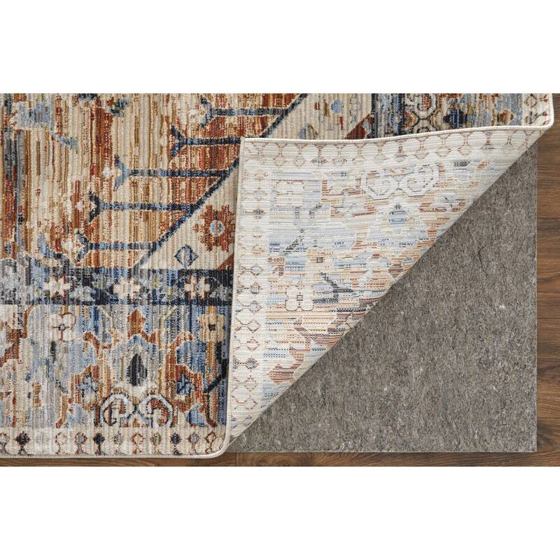 Melrose R39NZ Distressed Transitional Area Rug