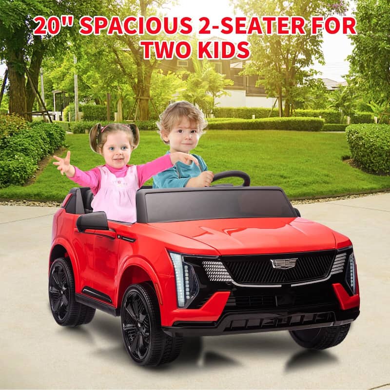 2 Seater Ride on Car for Kids 24V Electric Car Toy