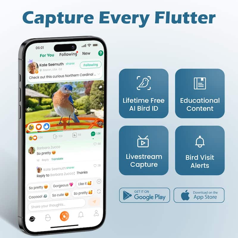 Smart Solar Bird Feeder with Camera and Interactive App