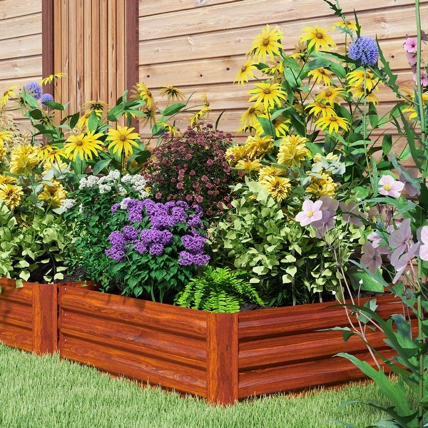 plants mania　THE SIDE UP BOX plants mania THE SIDE UP BOX I Tropicals ZZ Plant or Zamia