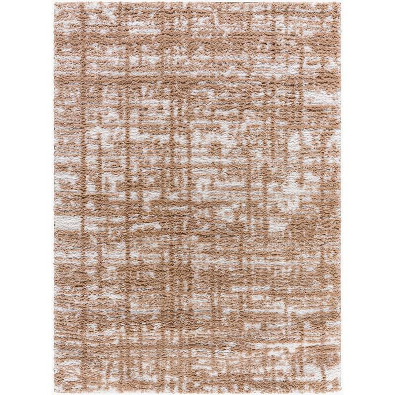 Livabliss Modern & Contemporary Sacramento Shag Ombre Area Rug
