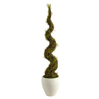 54" Mohlenbechia Spiral Artificial Tree in White Planter - 13"