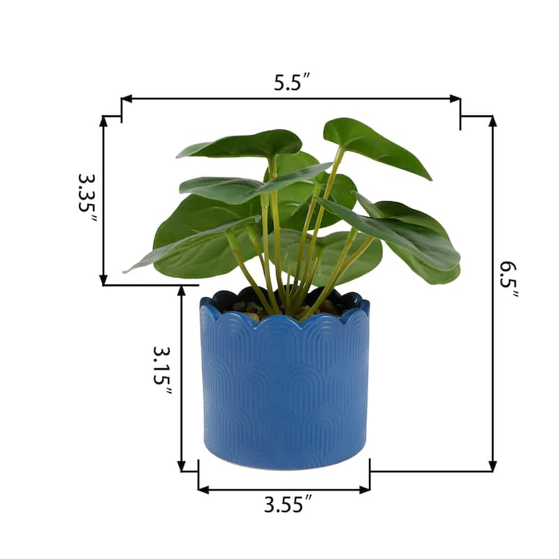 6.5''H Faux Money Plant In Terracotta Scallop Pot