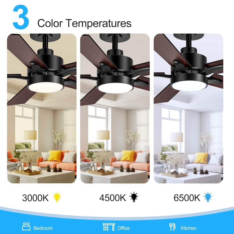 42" 5-Blade Black/White Modern LED Ceiling Fan with Light and Remote