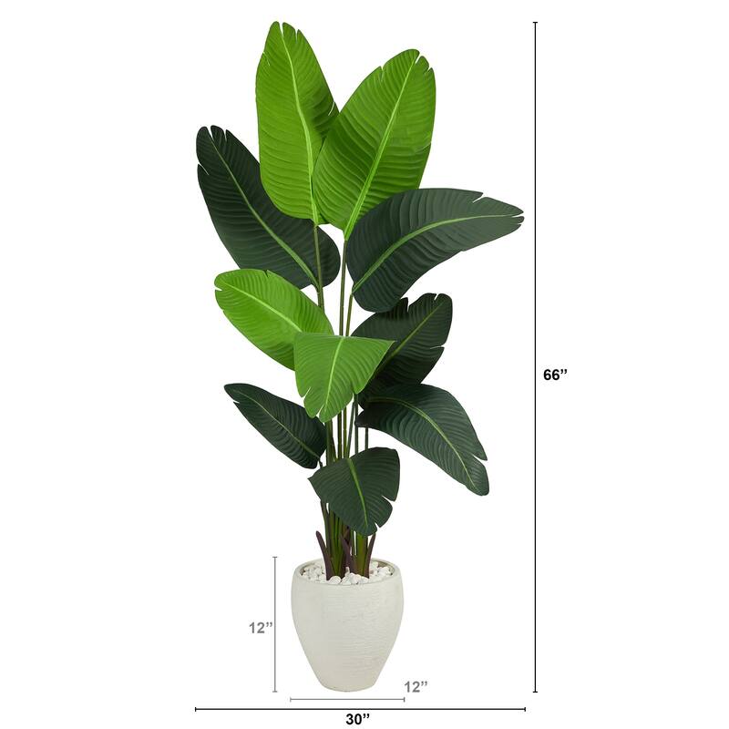 5.5' Travelers Palm Artificial Tree in White Planter - 13"
