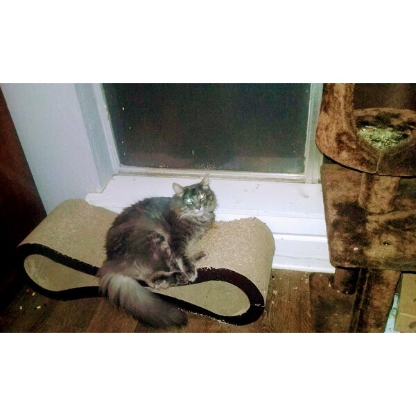 Shop Petfusion Cat Scratcher Deluxe Lounge Overstock 8372780