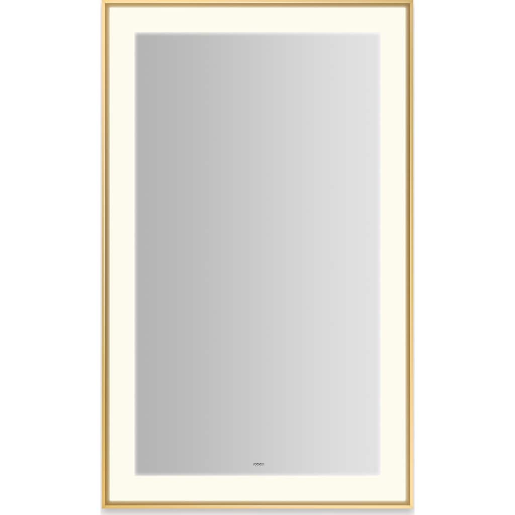 Robern YM2541RPSMD3K Sculpt 25-1/4"W x 41-1/4"H Rectangular Flat Metal