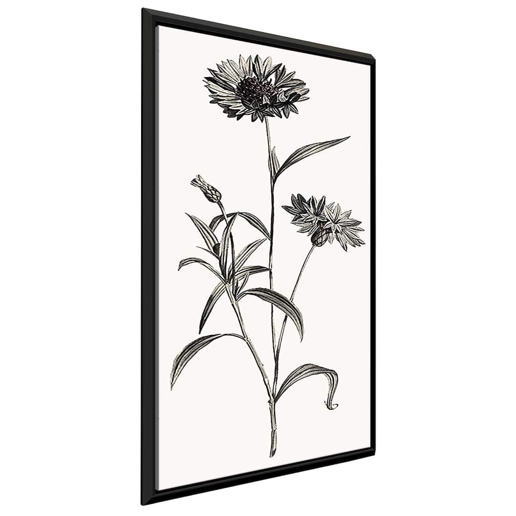 "Slender Imperial" Print on Floating Canvas