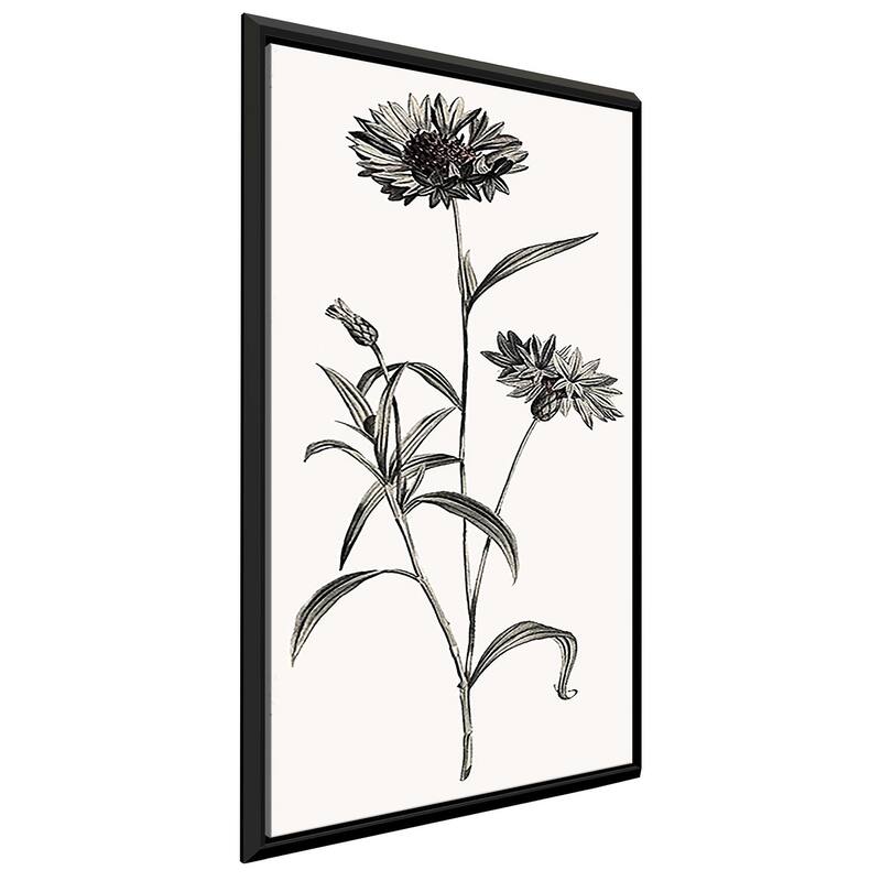 "Slender Imperial" Print on Floating Canvas