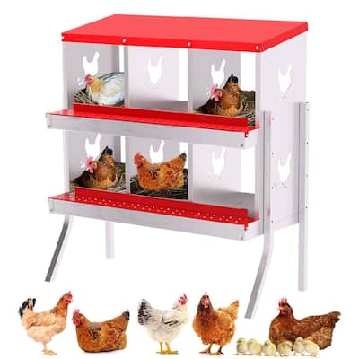 Chicken Nesting Boxes with Roll Out Egg Collection and Legs