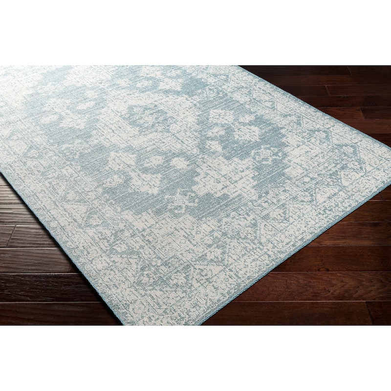 Susannah Indoor / Outdoor Updated Traditional Area Rug