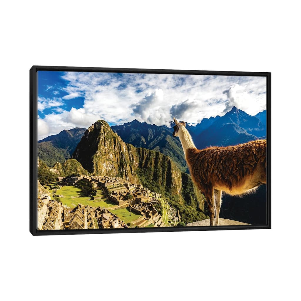 iCanvas "Peru Machu Picchu Lama Overlooking" by Alex G Perez Framed Canvas Print