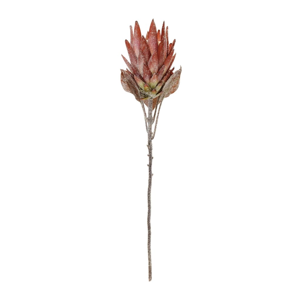 Protea Artificial Floral Stem Sprays - 29.25" - Orange - Set of 2