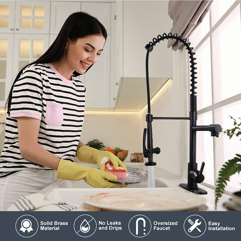 WOWOW Commercial Kitchen Faucet with Pre-Rinse Sprayer