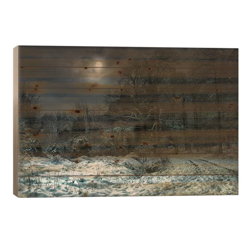 Winter Moon Print On Wood by Mark Gemmell - Multi-Color - 26x40x1.5