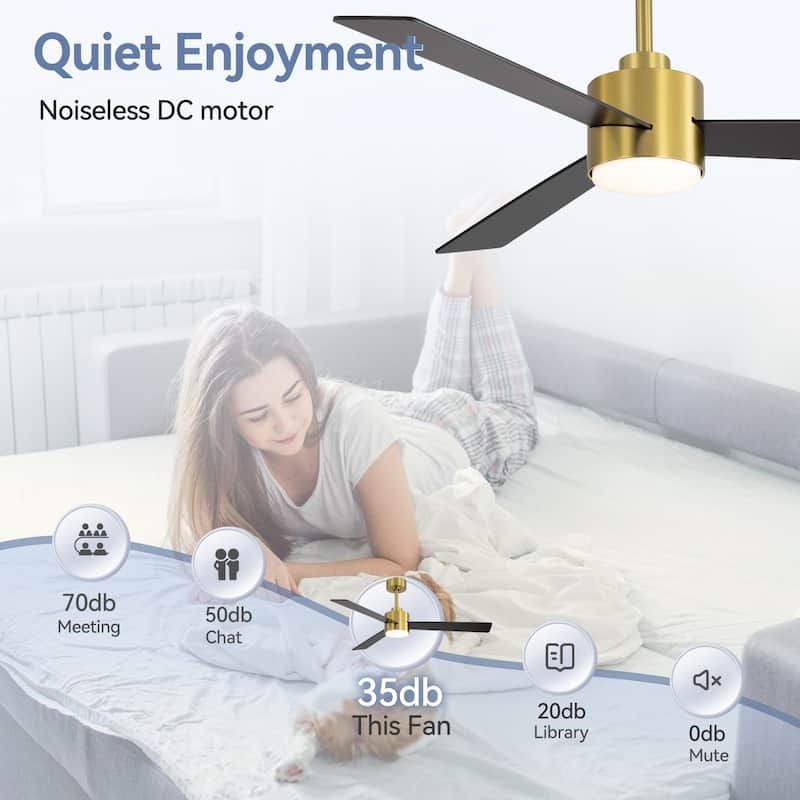 52-inches 3-Blade Ceiling Fan With Remote Downrod