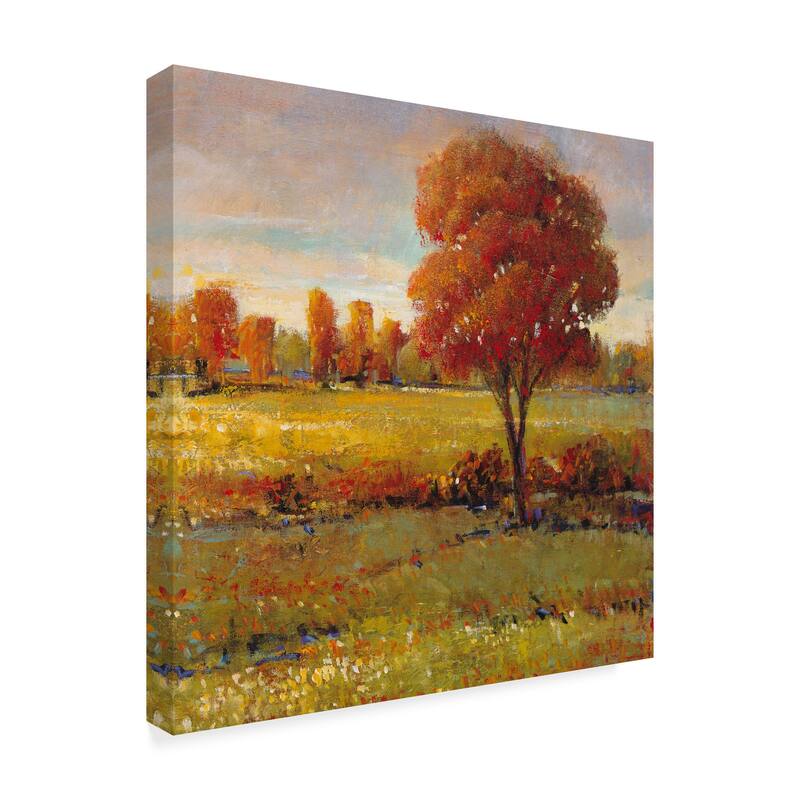 Tim Otoole 'Field In Fall' Canvas Art