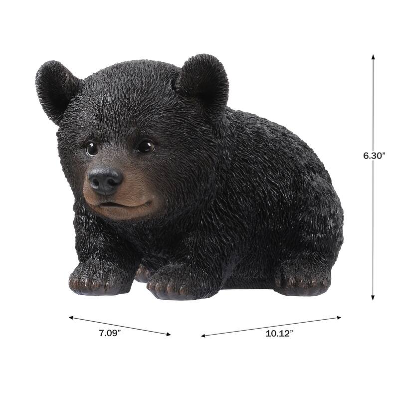 Baby Black Bear Crawling