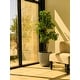 preview thumbnail 53 of 59, Kante 18 Inch Dia Round Concrete Planter, Indoor Outdoor Large Plant Pot