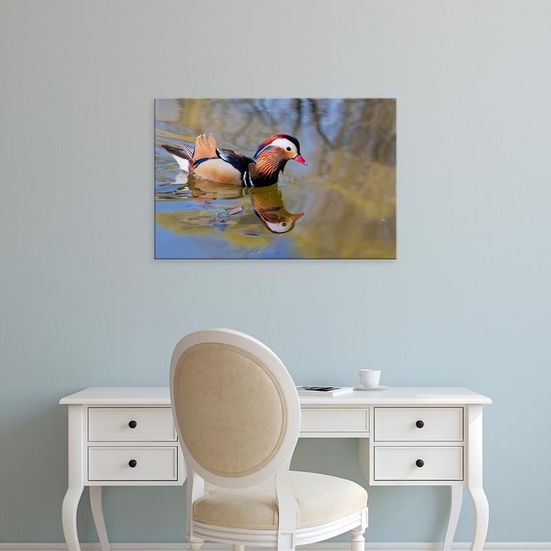 Easy Art Prints Alice Garland's 'Male Mandarin Duck Swimming in Pond' Premium Canvas Art