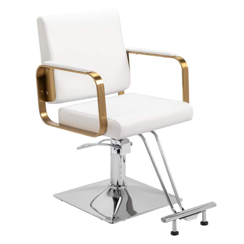 PVC Leather Stainless Steel Armrests Footrests Square Chassis Salon Chair - N/A - White