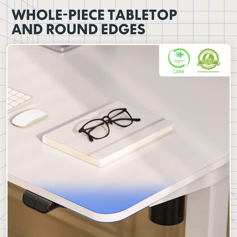 FlexiSpot Electric Standing Desk Whole-Piece Desk Board Computer Desk Height Adjustable Desk for Home Office