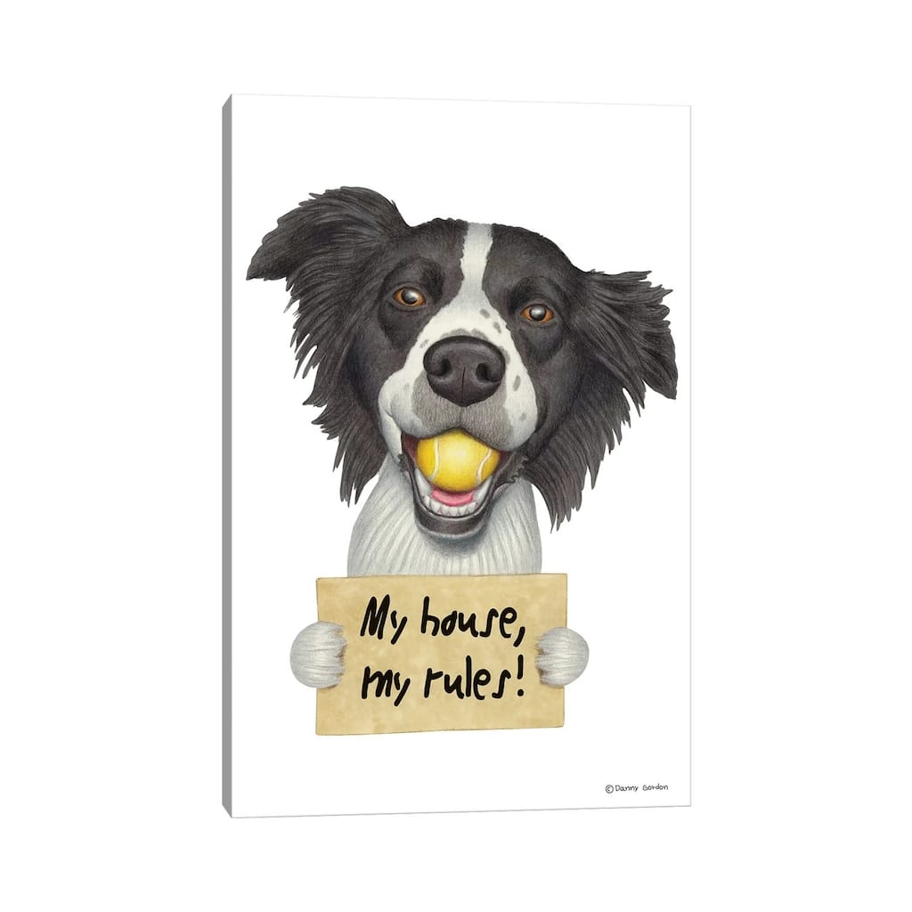 iCanvas "Border Collie" by Danny Gordon Canvas Print