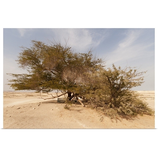 "Tree of Life, 400-year-old mesquite tree, near Jebel Dukhan." Poster Print