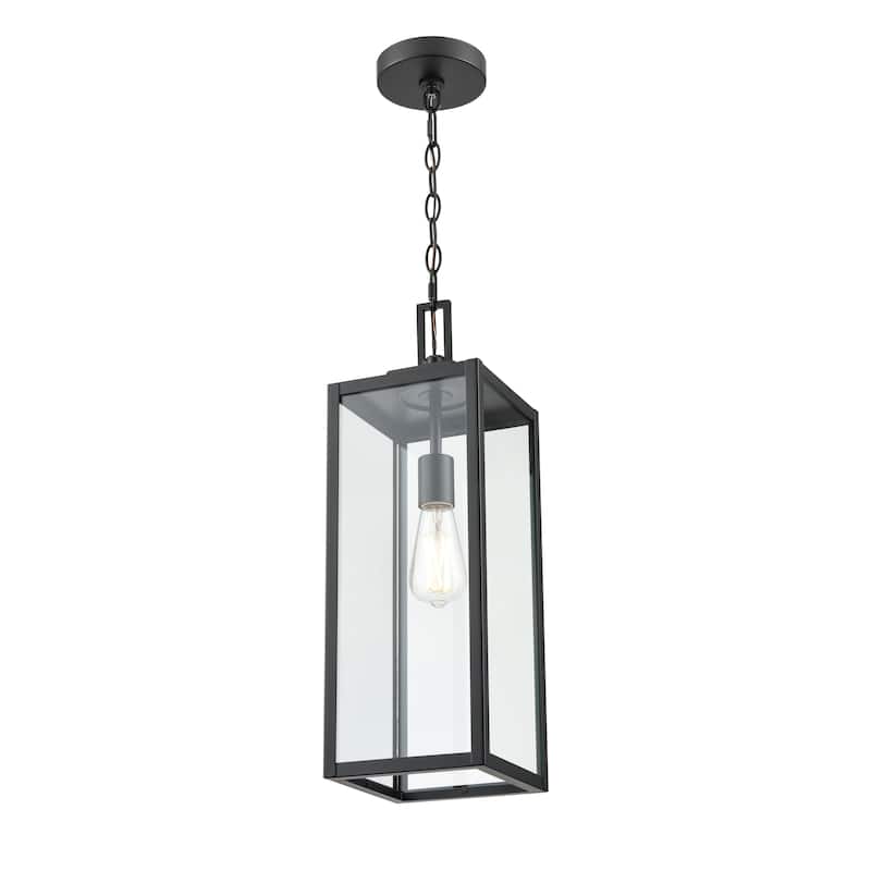 1-Light Outdoor Hanging Lantern