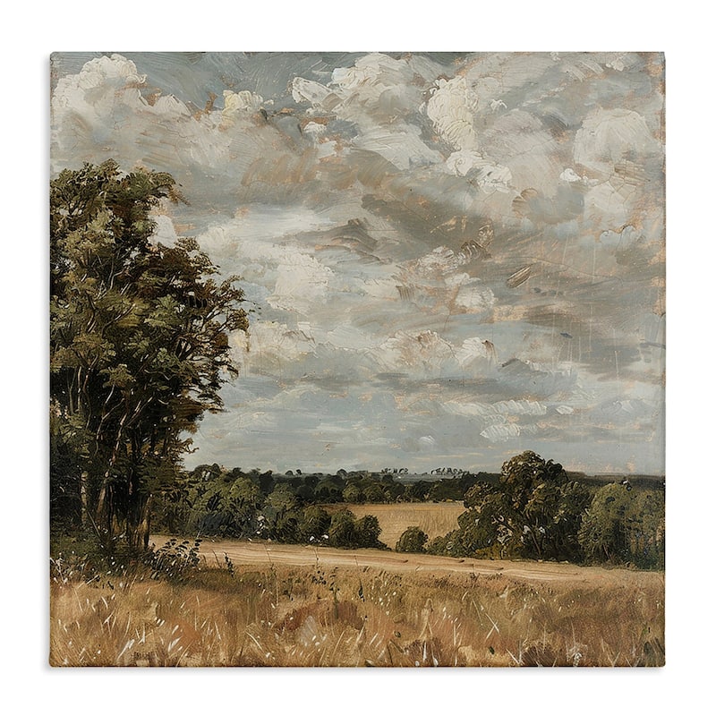 Stupell Clouds Over Country Scenery Canvas Wall Art Design By LSR Creative Studio - 36 x 36