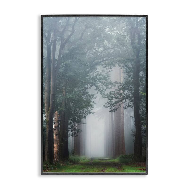 Stupell Calm Forest Clearing Framed Giclee Art Design By Martin Podt - 20 x 30 - Black